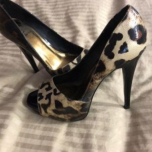 Bakers high hills (leopard)